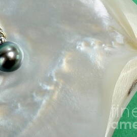Black pearl necklace on oyster shell by Sami Sarkis Photography