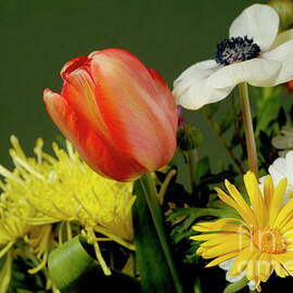 Bouquet of flowers by Sami Sarkis Photography