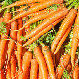 Carrots by Tom Gowanlock
