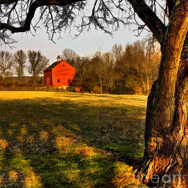 Country Life by Susan Candelario