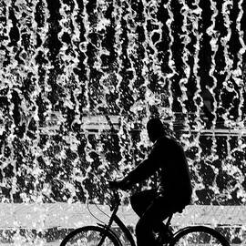 Cycling Silhouette by Carlos Caetano