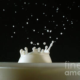 Drop of milk splashing in a glass by Sami Sarkis Photography