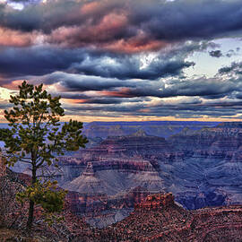 Evening Light by Beth Sargent