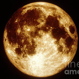 Full Moon by Science Source