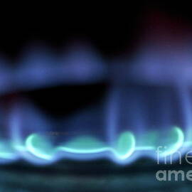 Lit blue gas stove burner by Sami Sarkis Photography