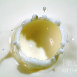 Milk splashing into the air by Sami Sarkis Photography