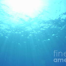 Rays of sunlight shining into water by Sami Sarkis Photography