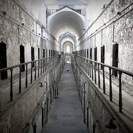 The Walk by Richard Reeve