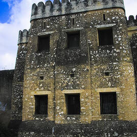 Zanzibar Old Fort by Darcy Michaelchuk