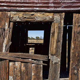 120 Nails by Kelley King