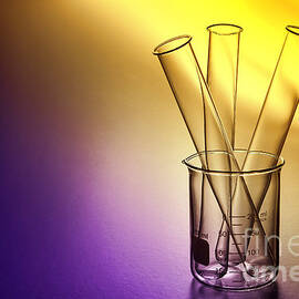 Laboratory Test Tubes in Science Research Lab #14 by Science Research Lab