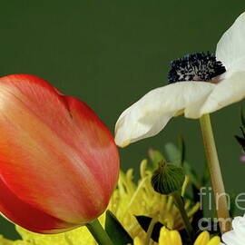 Bouquet of flowers by Sami Sarkis Photography