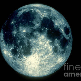 【R&B】 MAUTI - Full Moon Cat. No. JB208 – Jealous Butcher Records