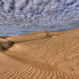 Magic of the Dunes by Beth Sargent