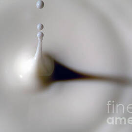 Milk splashing into the air by Sami Sarkis Photography
