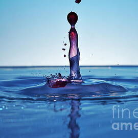 Splashing Water Droplet by Sami Sarkis Photography
