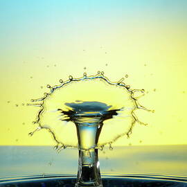 Water drops colliding to shape an umbrella splash by Sami Sarkis Photography