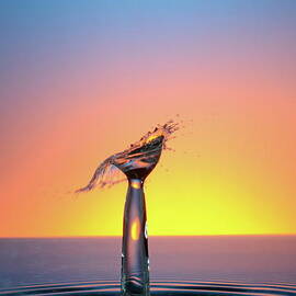 Water drops colliding to shape an umbrella splash by Sami Sarkis Photography