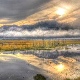 Alaska By Train by Bruce Friedman