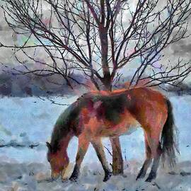 American Paint in Winter by Jeffrey Kolker