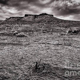 Baron Land and Gloomy Sky by Darcy Michaelchuk