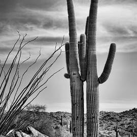 Black and White Couple by Kelley King