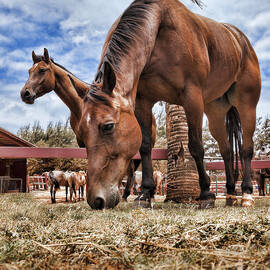 Break Time by Kelley King