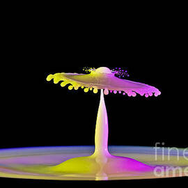 Breaking Thru by Susan Candelario