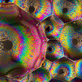 Bubble stripe by Jean Noren