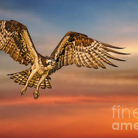 Calling it a Day by Susan Candelario