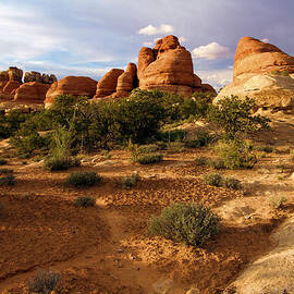 Canyonlands Needles District by Adam Jewell