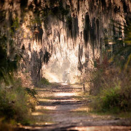 Capture by Steven Sparks