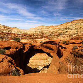 Cassidy Arch by Adam Jewell