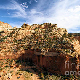 Cassidy Arch Overlook by Adam Jewell