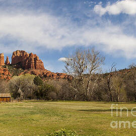 Cathedral Rock from the Park by Darcy Michaelchuk