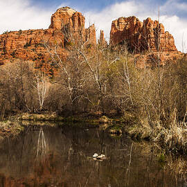 Cathedral Rock Reflections Portrait 1 by Darcy Michaelchuk