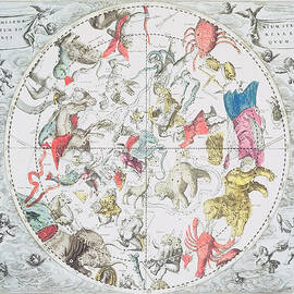 Celestial Planisphere Showing the Signs of the Zodiac by Andreas Cellarius