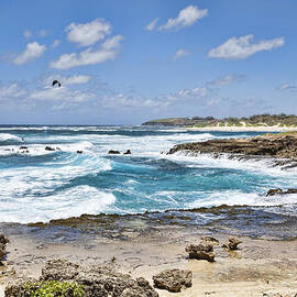 Coastal Kauai by Kelley King