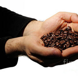 Coffee beans by Sami Sarkis Photography