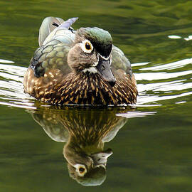 Coming at You by Jean Noren