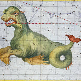 Constellation of Cetus the Whale by James Thornhill 