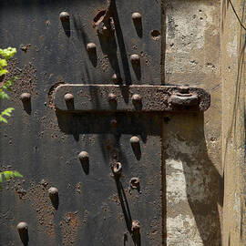 Contents Unknown by Kelley King