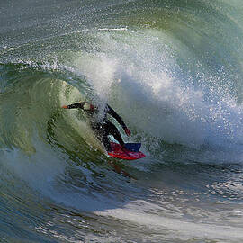 Curled by Joe Schofield