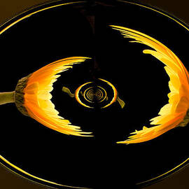 Daisy chain by Jean Noren