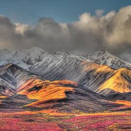 Denali Prairie 1 - Denali National Park - Alaska by Bruce Friedman