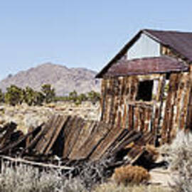 Desert Dwelling by Kelley King