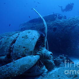 Diver exploring sunken B17 airplane wreck by Sami Sarkis Photography