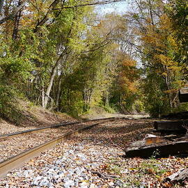 Down the Line by Richard Reeve