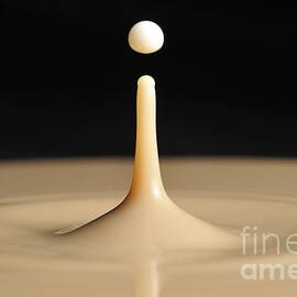 Drop of milk splashing into coffee by Sami Sarkis Photography