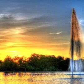 Duckling Dinner Time by David Morefield